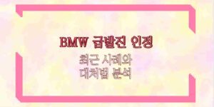 BMW 급발진 인정 최근 사례와 대처법 분석