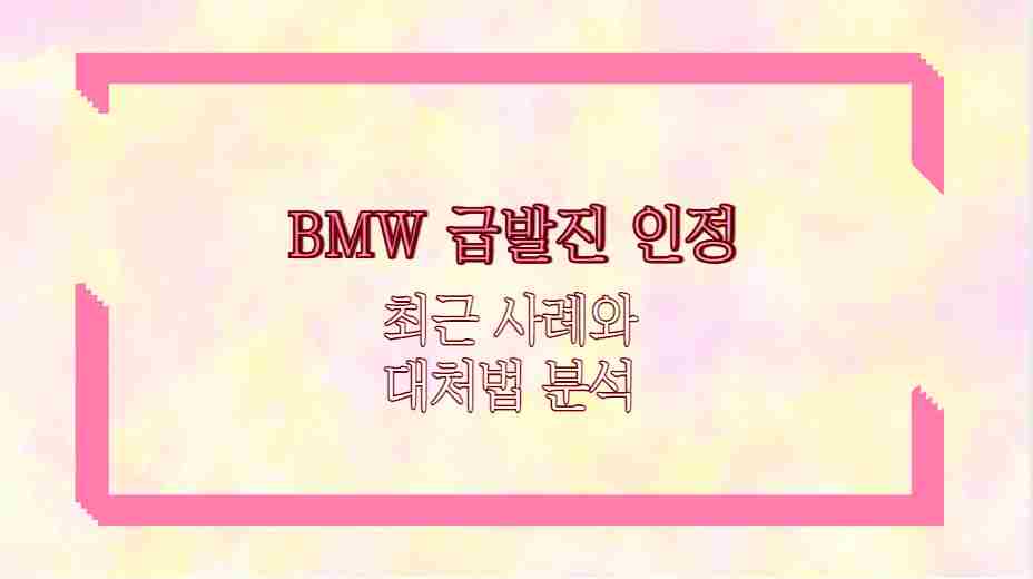 BMW 급발진 인정 최근 사례와 대처법 분석