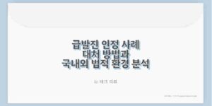 급발진 인정 사례 대처 방법과 국내외 법적 환경 분석