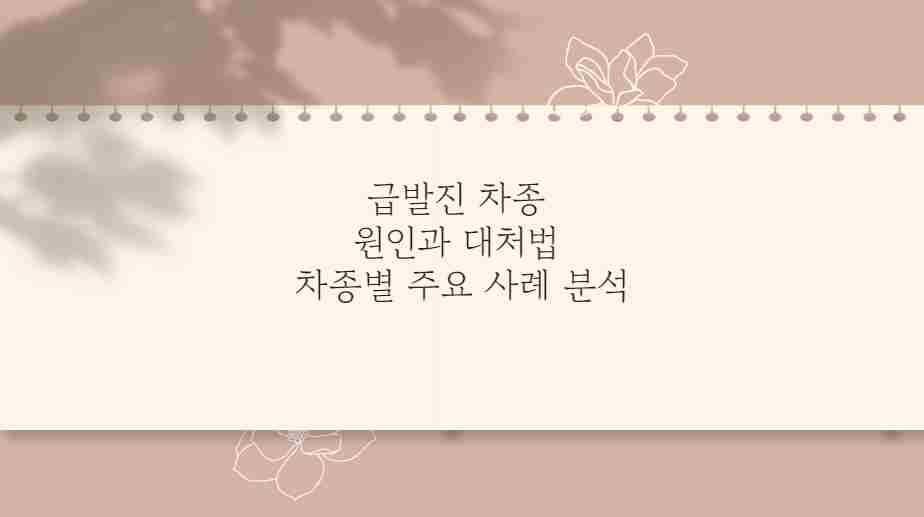 급발진 차종 원인과 대처법 차종별 주요 사례 분석