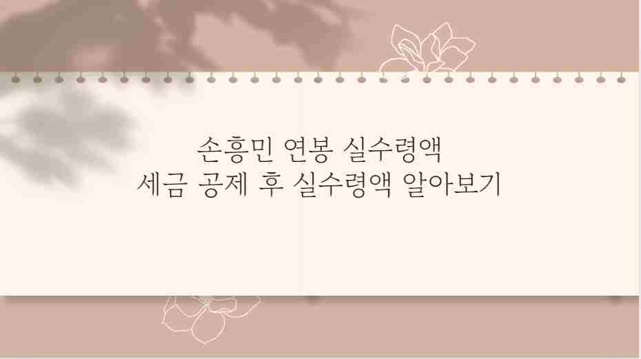 손흥민 연봉 실수령액 세금 공제 후 실수령액 분석