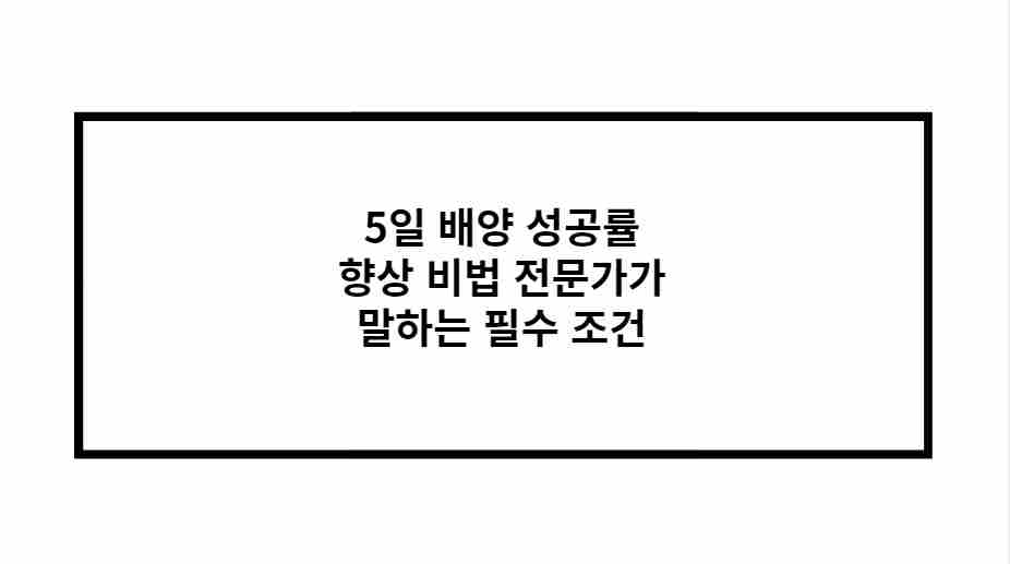 5일 배양 성공률 향상 비법 전문가가 말하는 필수 조건