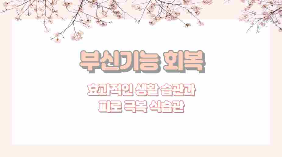 부신기능 회복 효과적인 생활 습관 피로 극복 식습관