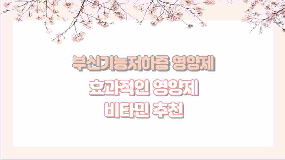 부신기능저하증 영양제 효과적인 영양제 비타민