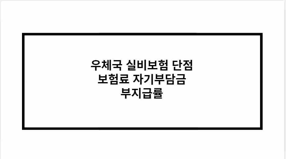 우체국 실비보험 단점 보험료 자기부담금 부지급률