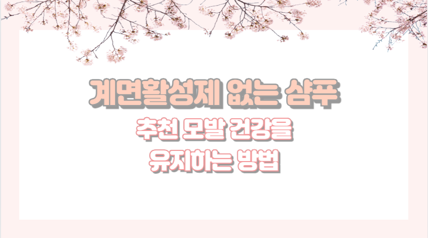 계면활성제 없는 샴푸 추천 모발 건강 유지하는 방법