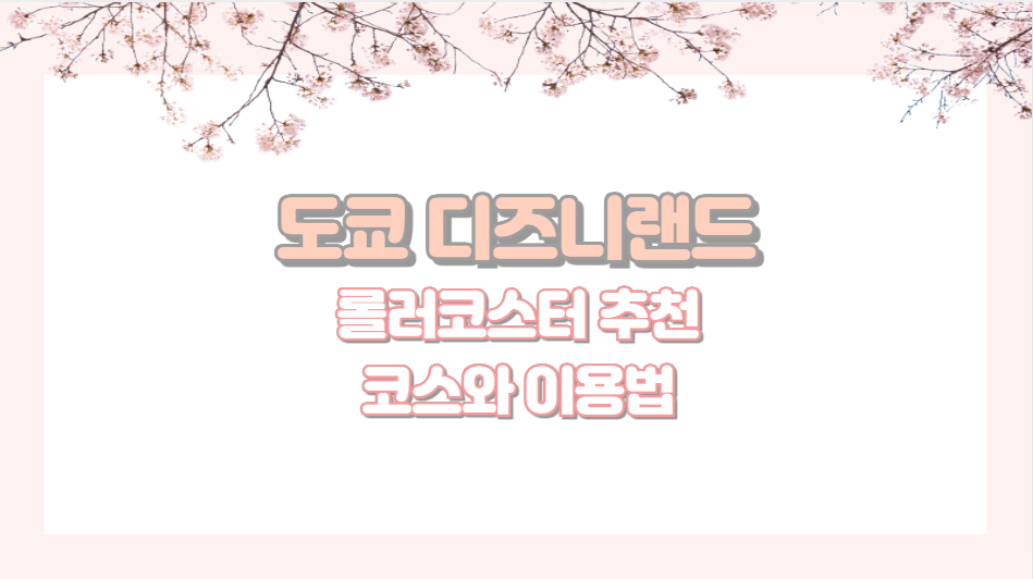 도쿄 디즈니랜드 롤러코스터 추천 코스와 이용법