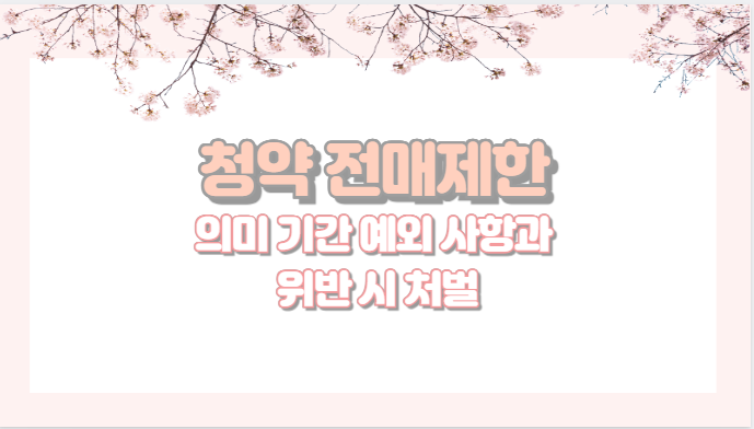 청약 전매제한 의미 기간 예외 사항과 위반 시 처벌