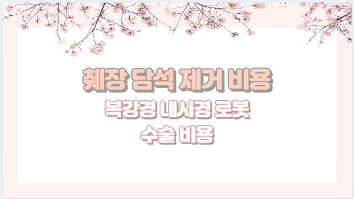 췌장 담석 제거 비용 복강경 내시경 로봇 수술 비용