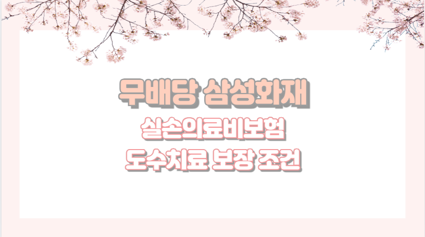 무배당 삼성화재 실손의료비보험 도수치료 보장 조건