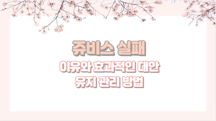 쥬비스 실패 이유와 효과적인 대안 유지 관리 방법