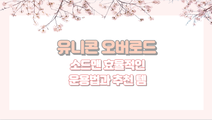 유니콘 오버로드 소드맨 효율적인 운용법과 추천 템