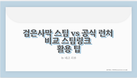 검은사막 스팀 vs 공식 런처 비교 스팀링크 활용 팁